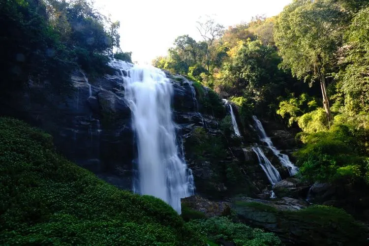 A waterfall surrounded by lush green jungle near Chiang Mai